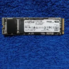 Crucial P1 CT1000P1SSD8JP