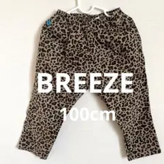 Item thumbnail for item 17dbaeed-f618-4d4e-9880-cb604814e91f