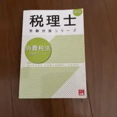 【値下げあり】消費税法理論サブノート 2025年