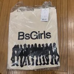 Item thumbnail for item 74ade632-b4da-4a70-8c4a-0b051ff0563a