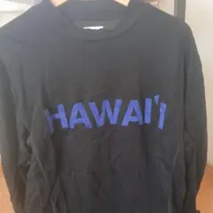 SALVAGE PUBLIC HAWAII 長袖カットソー XL