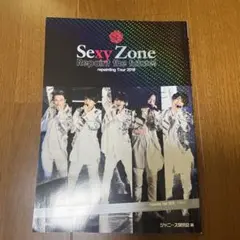 Sexy Zone Repaint the future!
