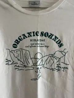 HIRAIDAI 平井大 ライブTシャツ
