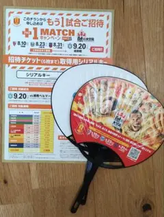 湘南ベルマーレ戦　招待コード、うちわ2枚　合計3点