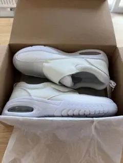 Item thumbnail for item de4dcdd7-d0c0-40c0-bf8e-1d96ec52ae17