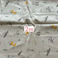 限定値下げ　check&stripe トラネコボンボン　音楽は楽しい　2m