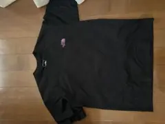 THE NORTH FACE Tシャツ 黒