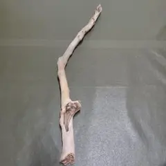 Item thumbnail for item 2623c513-4341-4730-a2de-c60172ab0310