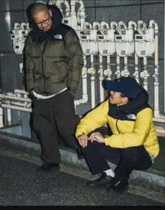 THE NORTH FACE nuptse hoodie ヌプシ　フーディー