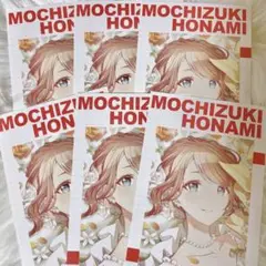 【匿名配送】 望月穂波 在庫ラスト プロセカ アニメイト特典 合計 6枚