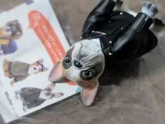 Only Wan Vol.04 オンリーワン Winston ウィンストン