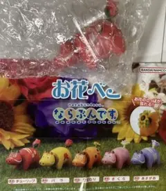 お花べこ　ならぶんです　ガチャ　バンダイ　チューリップ