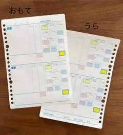 カーボカウント記録用紙30枚×2セット