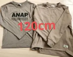 Item thumbnail for item 5ebd79ea-b8e4-45bf-bc4f-6c5919d30056