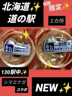 北海道道の駅ピンズ　シマエナガ2025年版NEW✨130駅中2箇所 ルスツ情報館