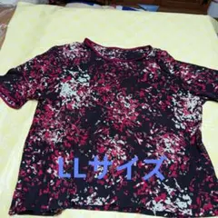 Item thumbnail for item e688c1a3-2a8b-4365-9e4a-4f887f2beff0