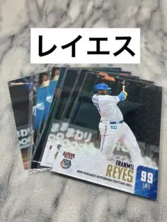 レイエス 10枚セット