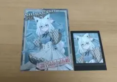 白上フブキ ポストカード チェキセット ホロ謎ミュージアム 特典 ぱしゃこれ