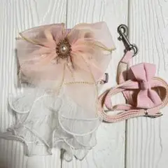 Item thumbnail for item eb1f2833-aa6f-49b1-8b6a-7b8cd0b19abb