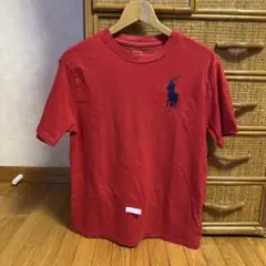 ポロラルフローレン半袖Tシャツ160㎝