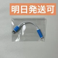イヤホン　変換アダプタ　iPhone