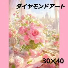 【A1627】ダイヤモンドアート　30×40㎝ラウンド