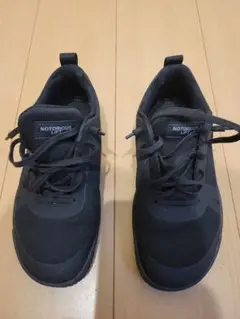 ノートリアスリフト