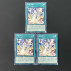 遊戯王　金科玉条　ノーマル3枚