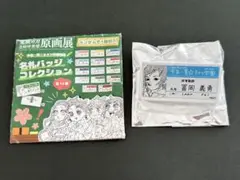 鬼滅の刃 冨岡義勇 キメツ学園 名札バッジコレクション