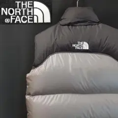 センターロゴ THE NORTH FACE ヌプシダウンベスト NUPTSE 灰