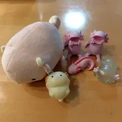 ウーパールーパーグッズ