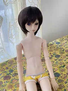 WDW FACTORY ビジュアドール 葵木 空 Basic アリス服 ➕ 男 WDW FACTORY ビジュアドール 葵木 空 Basic アリス服 男
