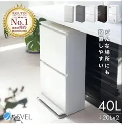 アスベル　ゴミ箱 スリム 縦型 2段 40L 白