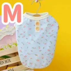 Item thumbnail for item 767c1f7a-77e5-42c9-bfed-990262cb43dd