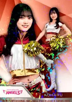 Item thumbnail for item d5ab23ae-9c79-4c70-ae1e-e9ffcf290cff