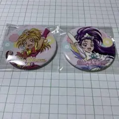 プリキュア キュアブルーム キュアイーグレット 20周年 缶バッジ
