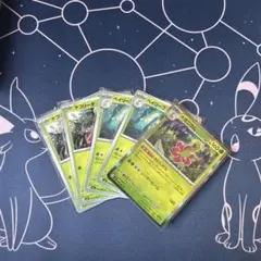 ポケモンカード　メガニウム　進化ライン