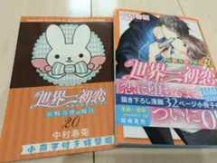 世界一初恋小野寺律の場合20巻 初版 小冊子付き特装版 中村春菊