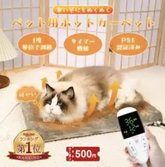 Item thumbnail for item ec19b104-a572-424f-be4c-a154bd176cb8