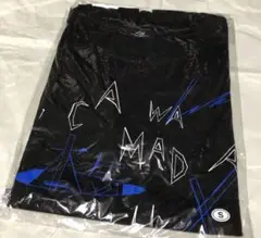 Item thumbnail for item 599fb9ed-843c-4463-84c1-ee101a5b5e1f