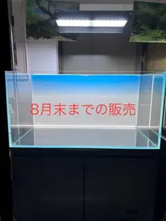 2025年最新】ライトスクリーン adaの人気アイテム - メルカリ