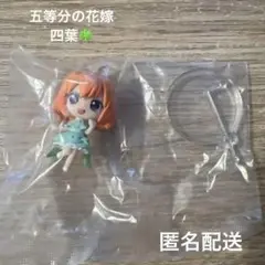 五等分の花嫁　中野四葉