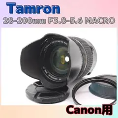 Item thumbnail for item 079b1312-f440-4892-bd34-d0f8ee8a992b