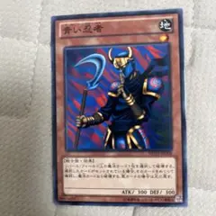 青い忍者