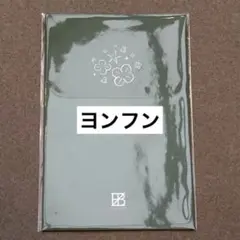 theboyz LUCKY LITTLE THINGS ヨンフン フォトカード