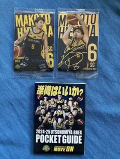 比江島選手カード2枚・2024-25ポケットガイド