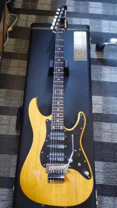 シェクターEX modified 22F ブルー schecter_blue_side.jpg