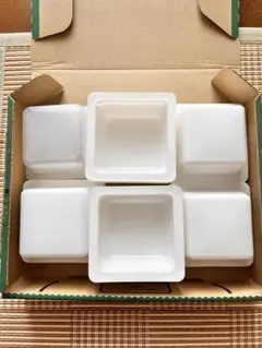 夏休み工作　豆腐パック　プラスチック製四角パック 5×6 30個