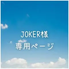 JOKER様 リクエスト 2点 まとめ商品