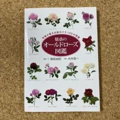 魅惑のオールドローズ図鑑 写真が語る伝統のバラ100の物語